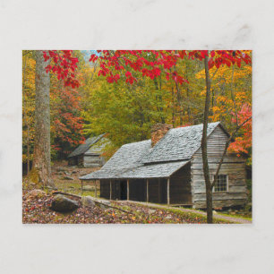 Noah "Bud" Ogle Cabin in the Smokies Briefkaart