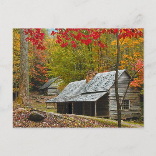 Noah "Bud" Ogle Cabin in the Smokies Briefkaart (Voorkant)