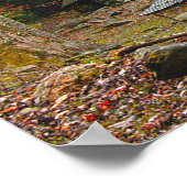 Noah "Bud" Ogle Cabin in the Smokies Poster (Hoek)