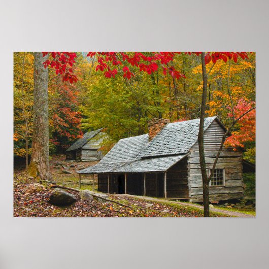 Noah "Bud" Ogle Cabin in the Smokies Poster (Voorkant)