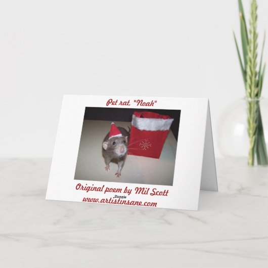 Noah Christmas Kaart 2 (Achterkant)