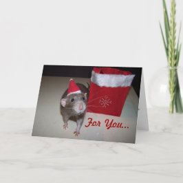 Noah Christmas Kaart 2