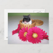 noah cutie briefkaart (Voorkant / Achterkant)