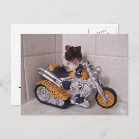 noah-cyclus briefkaart (Voorkant / Achterkant)