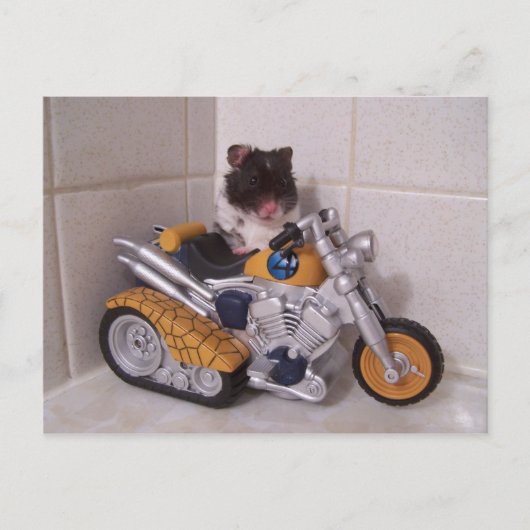 noah-cyclus briefkaart (Voorkant)