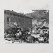 Noah en Ark Briefkaart (Voorkant)
