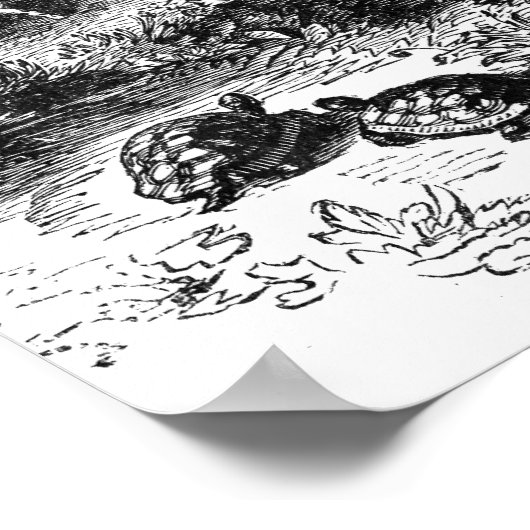 Noah en Ark Poster (Hoek)