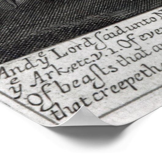 Noah entreth the Ark Poster (Hoek)