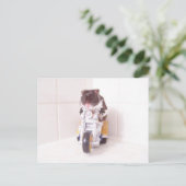 noah gele cyclus briefkaart (Staand voorkant)