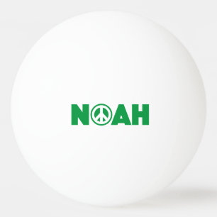Noah Pingpongbal