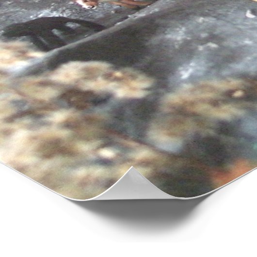 Noahs Ark Diorama Afbeelding Poster (Hoek)