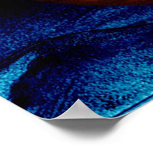 Noah's Ark Poster (Hoek)