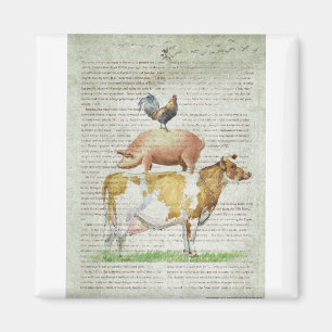 NOB11-Boerderij standaard B1.tif Magneet