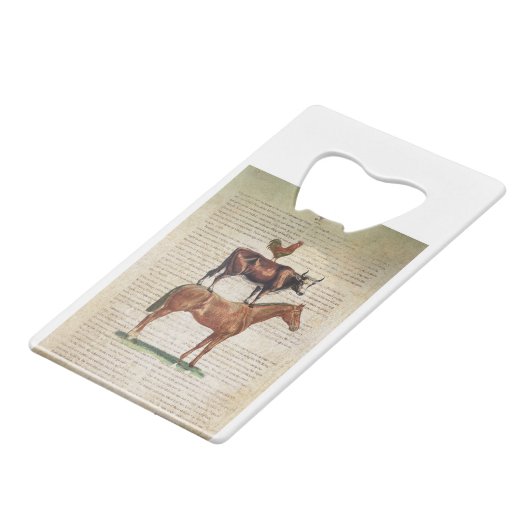 NOB12-Boerderij standaard C1.tif Creditkaart Flessenopener (Voorkant Gekanteld)