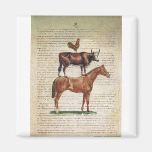 NOB12-Boerderij standaard C1.tif Magneet