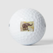 NOB173 Trunk 1.tif Golfballen (Voorkant)
