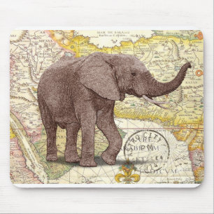 NOB173 Trunk 1.tif Muismat