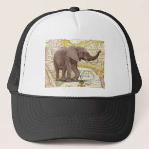 NOB173 Trunk 1.tif Trucker Pet