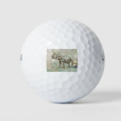 NOB174 Trunk 2.tif Golfballen (Voorkant)