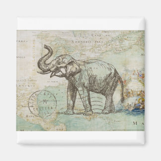 NOB174 Trunk 2.tif Magneet