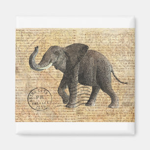 NOB175 Truck 3.tif Magneet