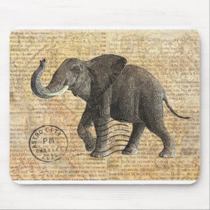 NOB175 Truck 3.tif Muismat