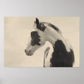 Nobel Beast Poster (Voorkant)