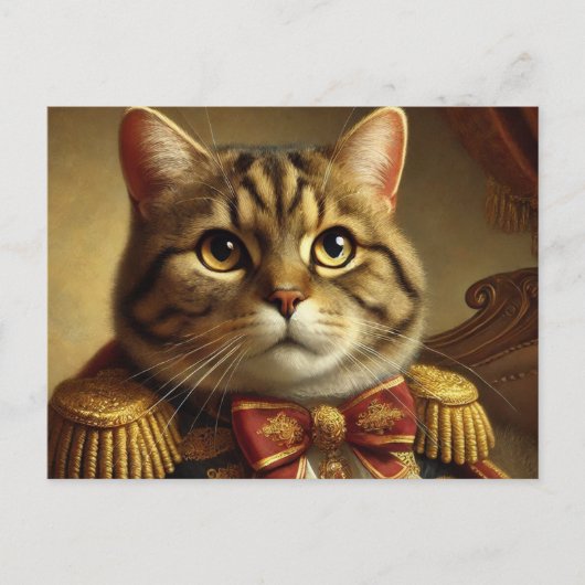 Nobel goed geklede tabby kat postkaart (Voorkant)