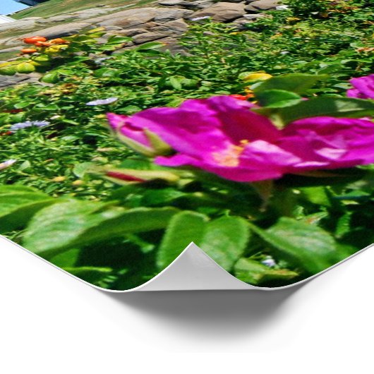 Nobelvuurtoren, Cape Neddick, Maine Poster (Hoek)