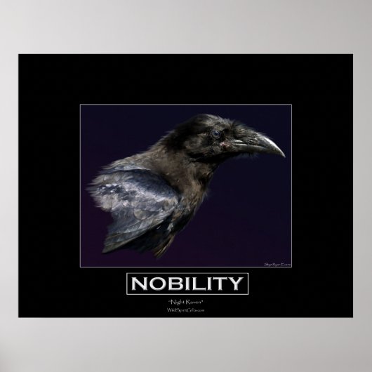 NOBILITEIT Motivatie Raven Portait Poster (Voorkant)