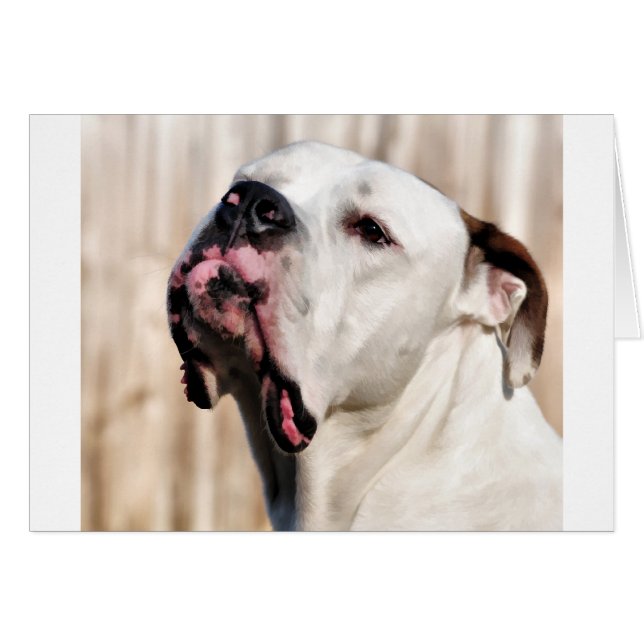 Noble (Voorkant Horizontaal)