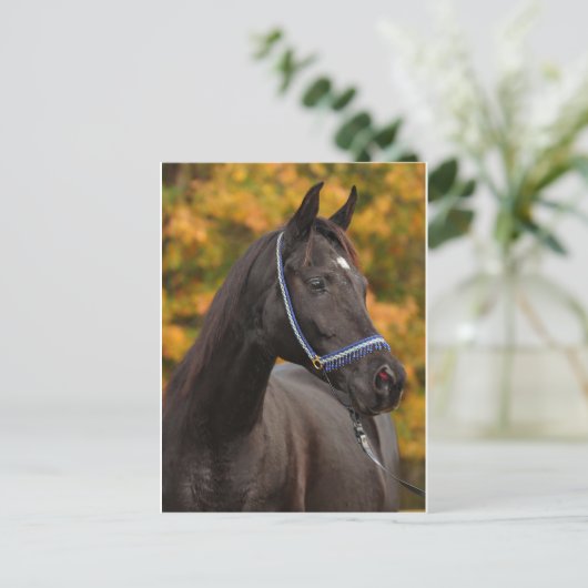 Noble Arabian Briefkaart (Staand voorkant)