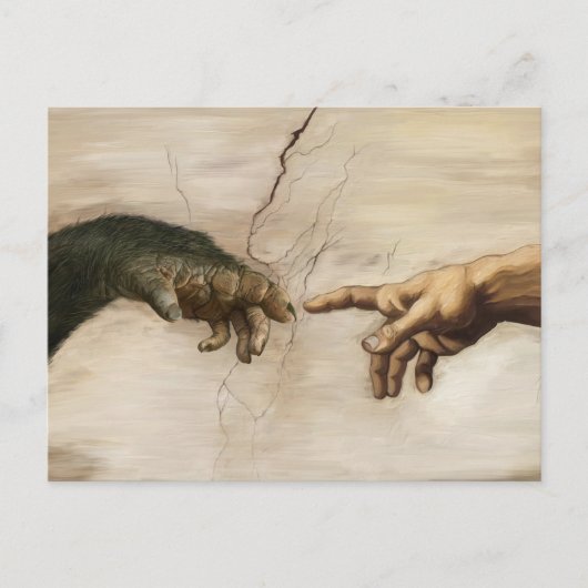 Noble Beasts - Creation of Apekind Briefkaart (Voorkant)