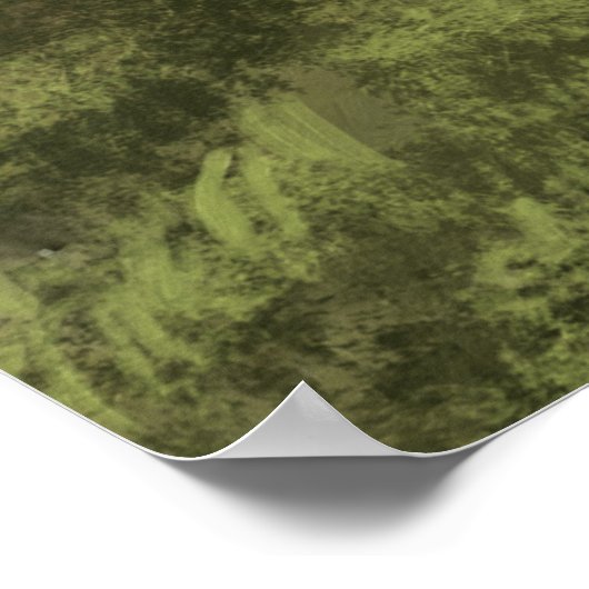 Noble Beasts - Koe Dandy Poster (Hoek)