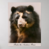 Noble Bubu Portrait Poster (Voorkant)