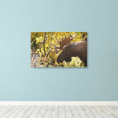 Noble Bull Moose Canvas Afdruk (Insitu (Houten vloer))