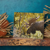 Noble Bull Moose Fotoplaat (Zijkant)