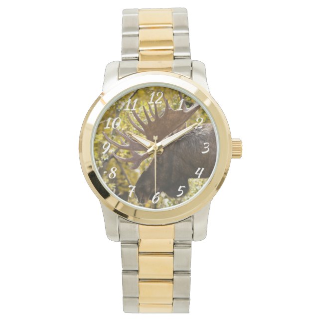 Noble Bull Moose Horloge (Voorkant)