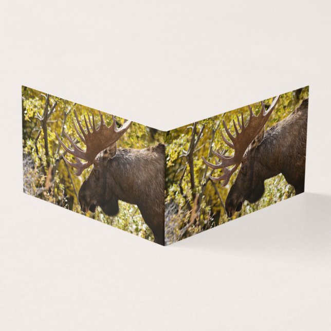 Noble Bull Moose Kaart (Buitenkant)