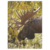 Noble Bull Moose Klembord (Achterkant)