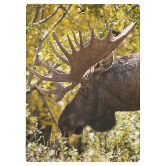 Noble Bull Moose Klembord (Achterkant)