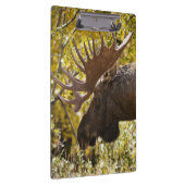 Noble Bull Moose Klembord (Rechts)