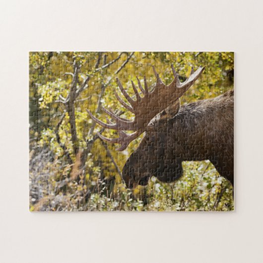 Noble Bull Moose Legpuzzel (Horizontaal)