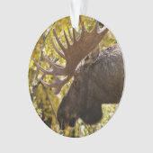 Noble Bull Moose Ornament (voorkant)