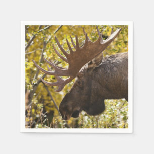 Noble Bull Moose Servet