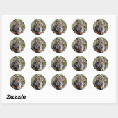 Noble German Shepherd Wolf-like Pose Ronde Sticker (Vel)