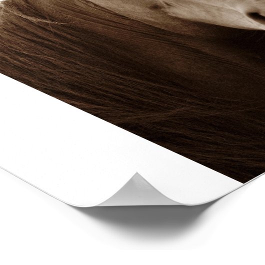 Noble Horse Poster (Hoek)