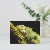 Noble Iguana Briefkaart (Staand voorkant)