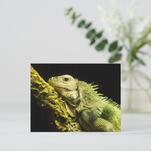 Noble Iguana Briefkaart (Staand voorkant)