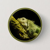 Noble Iguana Button (Voorkant)